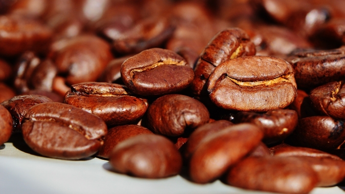 Preços do café iniciam 3ª feira (19) com baixas moderadas nas bolsas internacionais