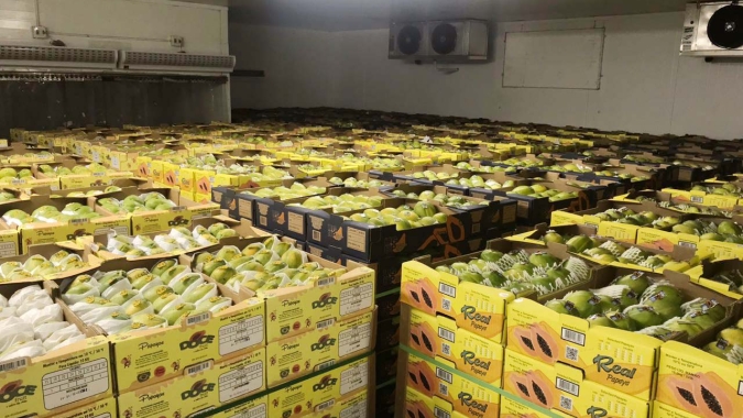 Buscando por alternativas de vendas, produtores criam a Agrofeira Delivery