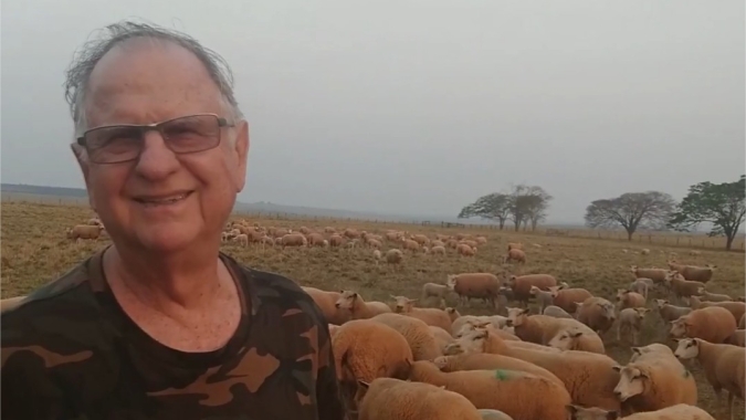Luís Turquino, ex-criador de Simental, tem mais lucro e satisfação com as ovelhas Texel