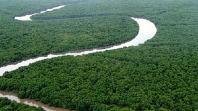Governo lança plano contra desmatamento ilegal com regularização fundiária e desenvolvimento de economia verde