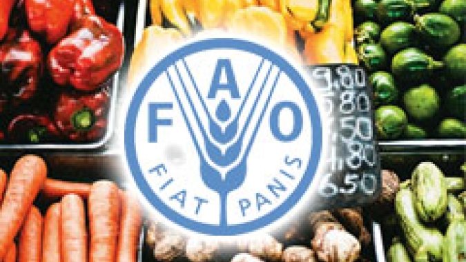Preços mundiais dos alimentos estão estáveis ​​em março, diz FAO da ONU