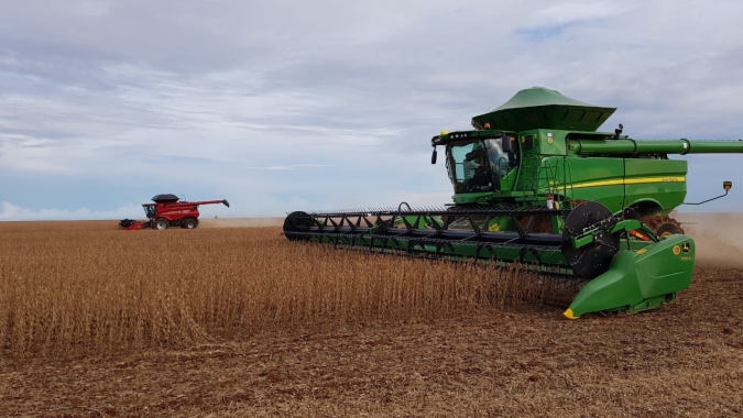 Colheita da soja atinge 80% em Carazinho/RS com queda de produtividade em função do mofo branco