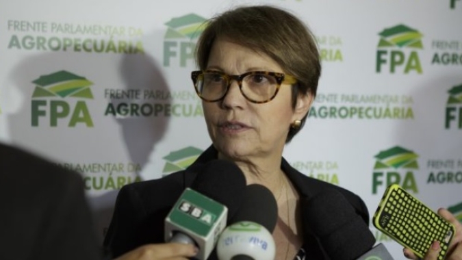 Países do G20 devem liderar ações para crescimento com gestão social e ambiental, diz ministra
