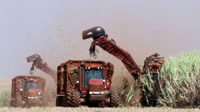 RenovaBio deve valorizar biomassa de biocombustíveis e produtor rural, diz Feplana