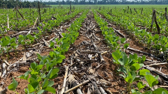 Plantio entra na reta final no Mato Grosso do Sul, mas atrasos permanecem