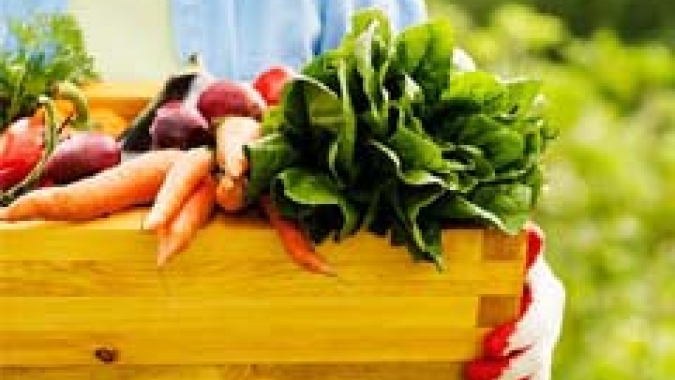 Estudo da CNA mostra que região Sudeste corresponde a 40% da produção de hortifrúti no Brasil
