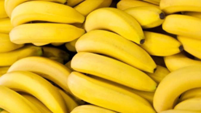 Banana/Cepea: Setembro se inicia com desvalorização da prata no Norte de MG