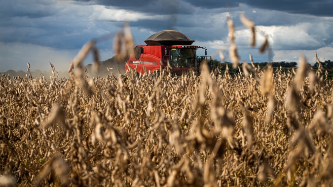 AgRural: Com colheita de soja em 10% no Brasil, pontos do Sul enfrentam calor e falta de chuva