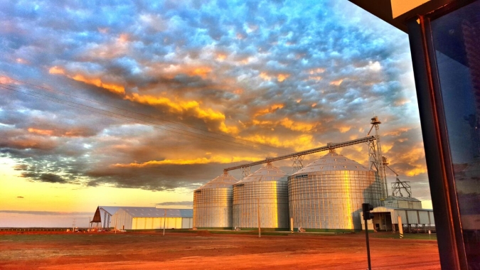 Conab realiza seminário virtual para debater desafios da armazenagem agrícola