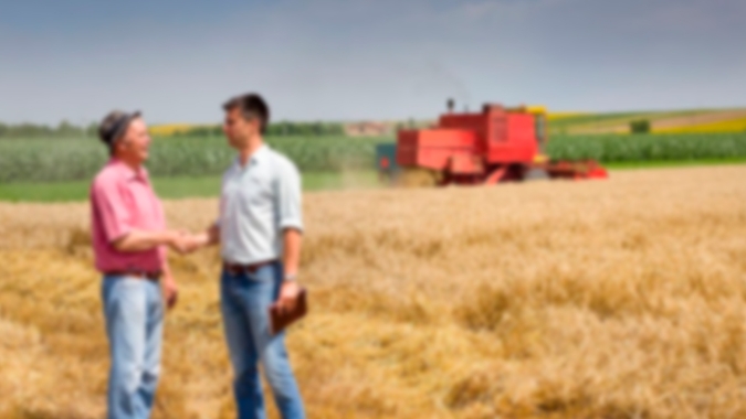 Substitutivo ao PL 1179 retira do texto as discussões sobre novas regras para arrendamento rural para estrangeiros