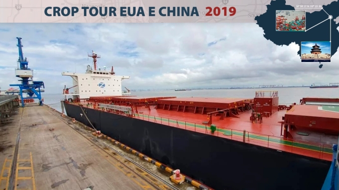 Porto de Xangai recebe mais de 4 mi de t de grãos/ano e mantém foco na oferta do BR
