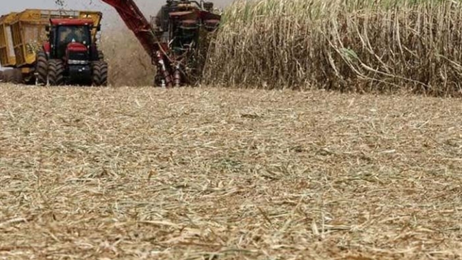 Projeto Brazil Sugarcane promove rodada de negócios na 8º SANTANDER DATAGRO Abertura de Safra Cana, Açúcar e Etanol