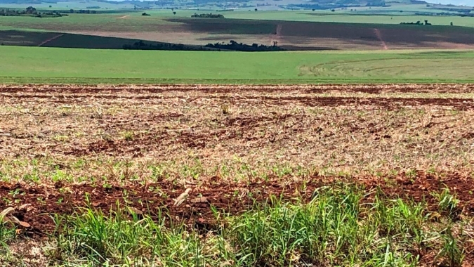Estiagem prejudicou plantio e desenvolvimento das lavouras de soja em Doutor Camargo/PR