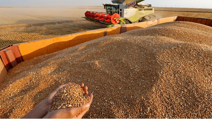 Dia do Trigo: Produtor brasileiro está cheio de motivos para comemorar e precisa ficar atento ao mercado