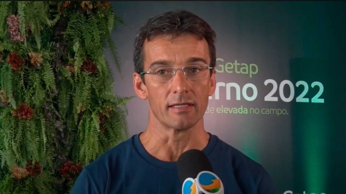 Enfezamento do milho é um dos maiores desafios já enfrentados pela pesquisa, mas novas tecnologias em estudo devem trazer mais eficiência ao controle