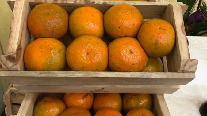 Comissão aprova redução de imposto sobre exportações de suco de laranja