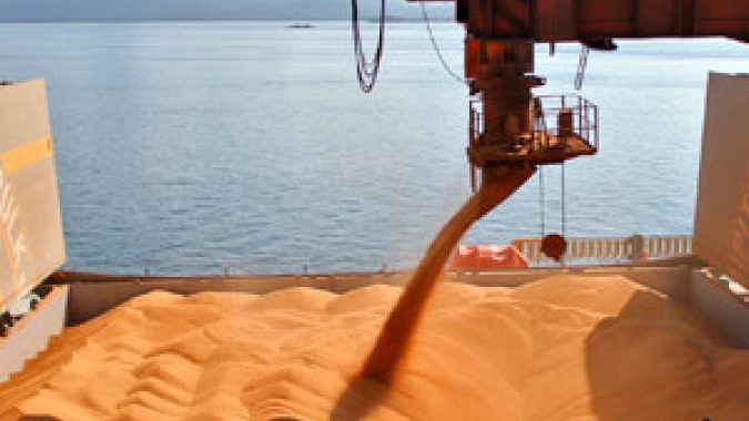 Importações chinesas de soja caem 25% em agosto ante 2021