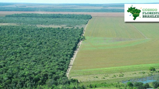 Negociações sobre clima global promovem medidas para reduzir metano e desmatamento