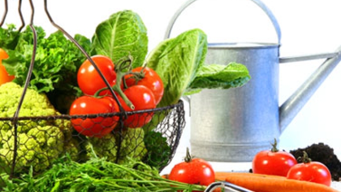 Rastreabilidade de Frutas e Hortaliças é discutido em webinar com participação da Abrafrutas
