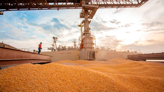 Anec reduz em quase 500 mil t previsão de exportação de milho do Brasil em novembro