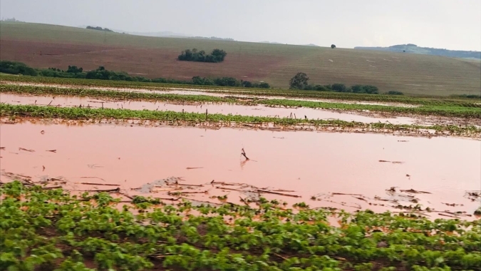 Excesso de chuvas atrasa plantio no norte do PR e pode comprometer controle de doenças e daninhas