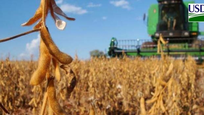 USDA: Área colhida de soja nos EUA chega a 9%, aquém do mesmo período do ano passado