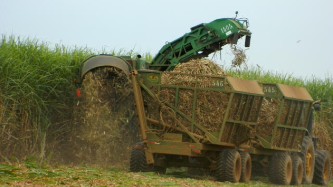 Comissão de Agricultura da Câmara deve marcar audiência pública sobre CBIos para produtores de biomassa