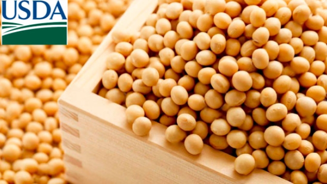 Devido a problemas técnicos, boletim de acompanhamento de safras do USDA será divulgado nesta 3ª feira