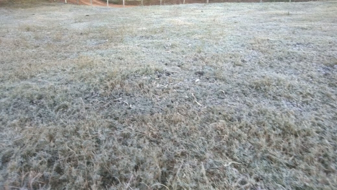São Paulo se prepara para nova onda de frio, com previsão de geadas