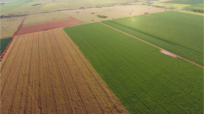 Indonésia expandirá terras agrícolas em 3 milhões de hectares em campanha de autossuficiência