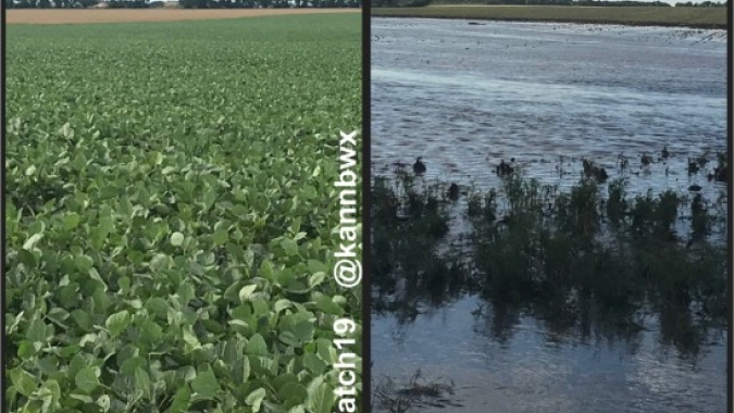 USDA traz plantio ligeiramente aquém do esperado e 10% da soja em condições ruins/muito ruins