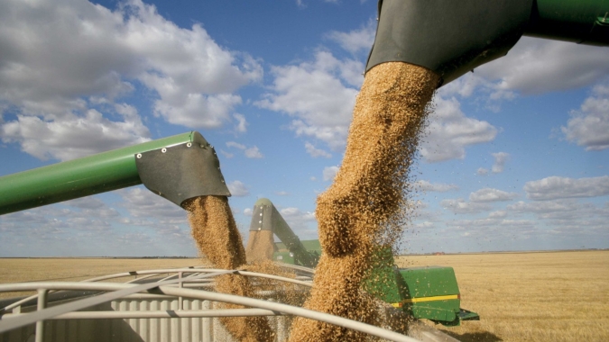 Safra 2020/21 de trigo da Rússia pode crescer 11%, prevê consultoria