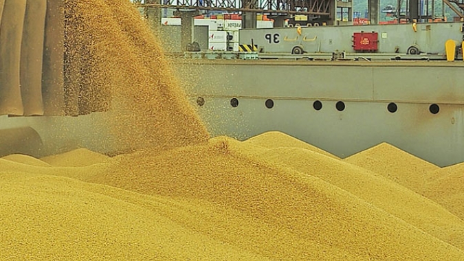 USDA: Vendas semanais de soja e milho 21/22 ficam bem acima das expectativas do mercado