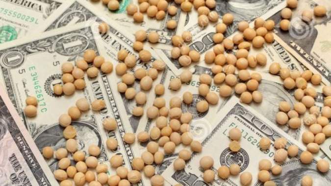 Soja passa a operar com leve recuo na Bolsa de Chicago nesta 2ª; mercado busca direção