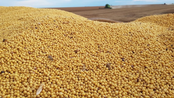 Agência Brasil: Relatório denuncia relação entre mercado e grilagem no Cerrado