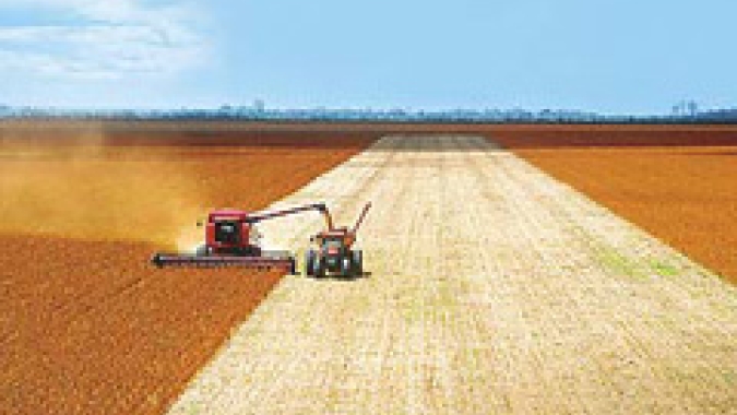Puxada por MT, colheita de soja chega a 0,6% da área no Brasil