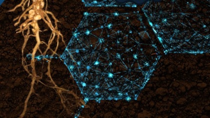 Rizobacter apresentará novas tecnologias no XXI Congresso Brasileiro de Sementes