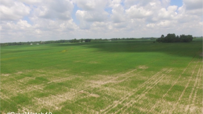 Previsões ainda indicam tempo quente e seco e lavouras sofrem no Corn Belt