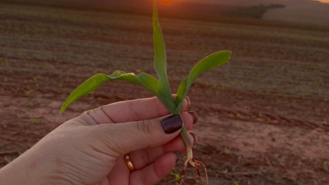Presidente da FPA defende equilíbrio entre agronegócio e preservação ambiental na Cúpula do Clima