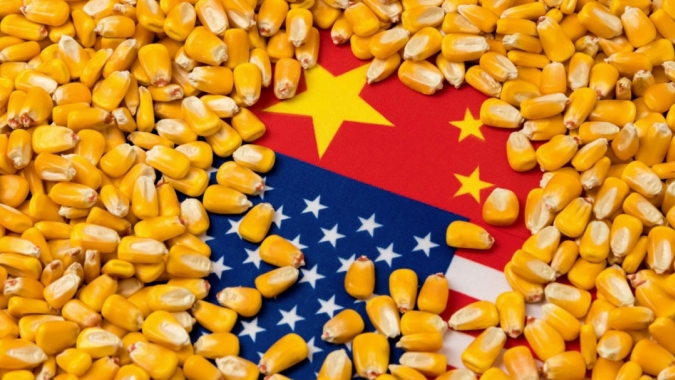Importações de milho da China podem passar de 30 mi de t mesmo com aumento de área no país, afirmam analistas chineses