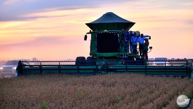 Colheita de soja do Brasil supera 30% da área, diz Pátria AgroNegócios