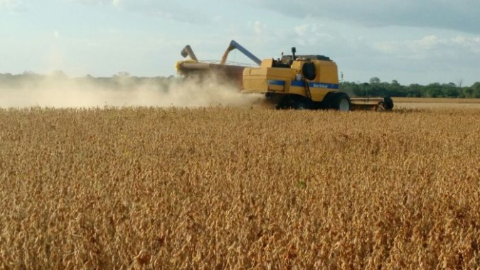 Mato Grosso tem colheita de soja e plantio de milho adiantados, diz Imea