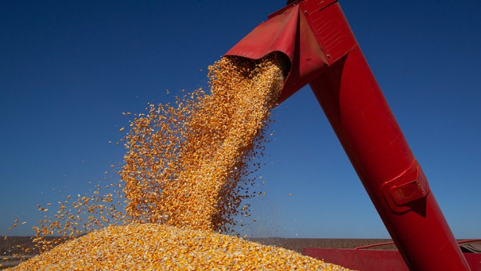 Brasil exporta 1,2 milhão de t de milho na semana e acumula quase 3,5 milhões em novembro; Anec espera 5,44 milhões no mês
