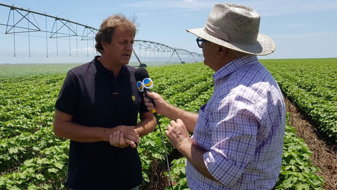 Fazenda Santana (LEM) rebaixa o uso da água nos 28 pivôs mas prevê 500 @/h de algodão