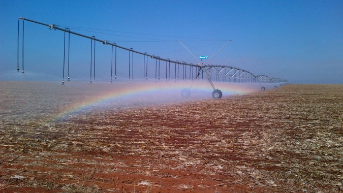 Vale do Araguaia tem grande potencial e pode expandir em 2 mi/ha o sistema agrícola de Goiás