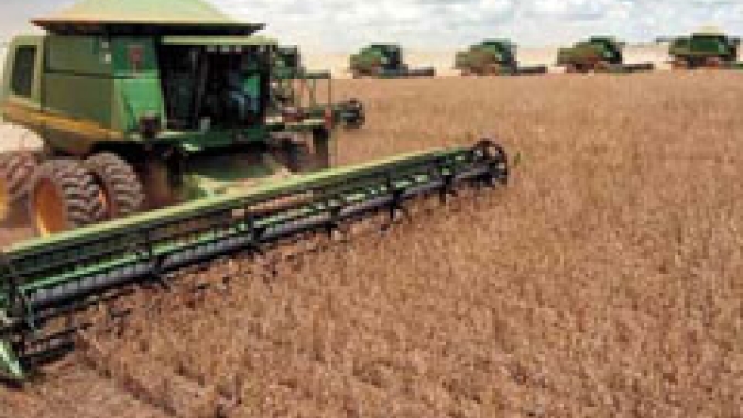Safra de grãos de verão no Paraná pode chegar a 25,61 milhões de toneladas