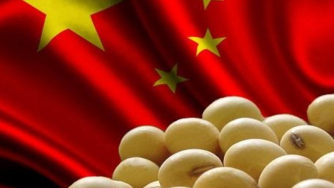USDA informa novas vendas de soja e sorgo para a China nesta 6ª