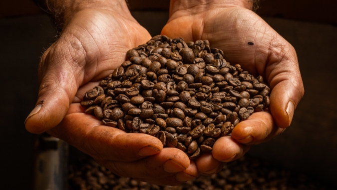 Café/Cepea: Saca de 60 kg do robusta já subiu 45% neste ano