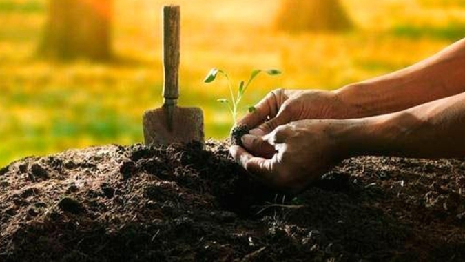 Valor Bruto da Produção deve atingir R$ 1,192 trilhão em 2021
