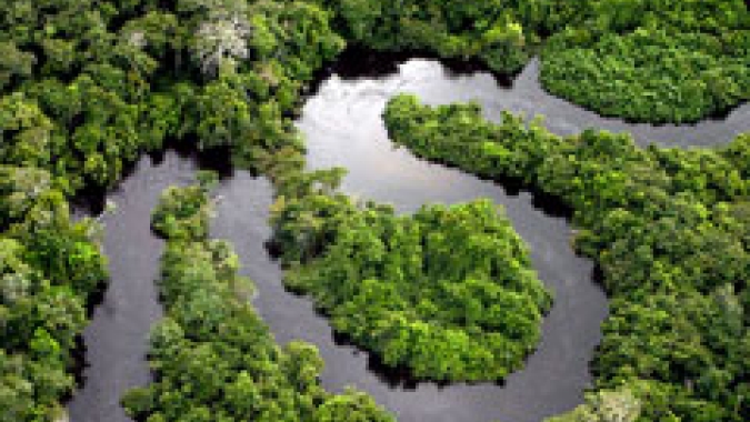 BB e Banco Mundial preparam acordo de cooperação de US$400 mi para recuperação da Amazônia